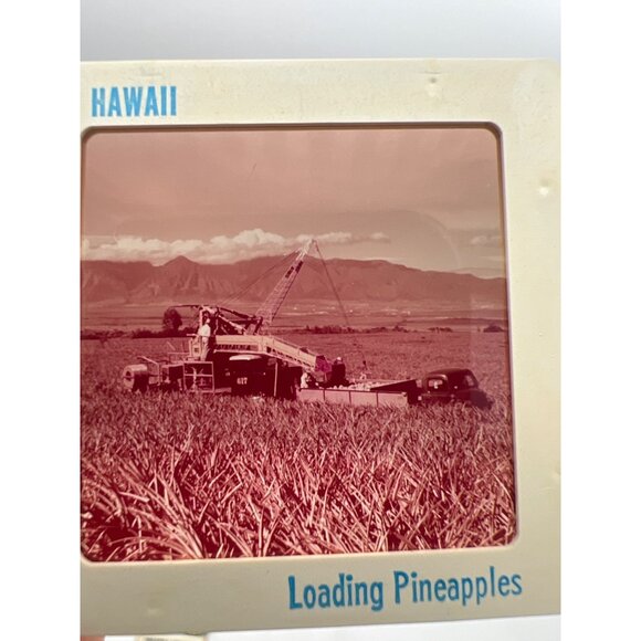 Vintage Pineapple & Sugar Cane Industries GAF Pana-Vue Travel Slides Hawaii - Picture 6 of 11
